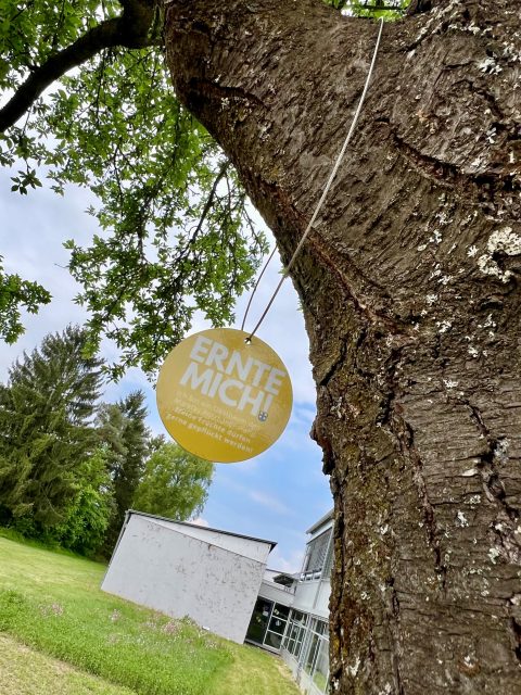 Alu-Schild an Selbsterntebaum in Postbauer-Heng