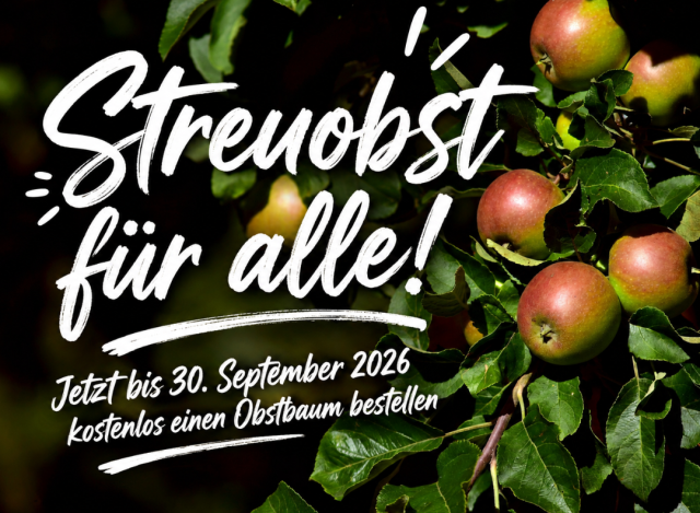 Titelbild zur Aktion Streuobst für alle